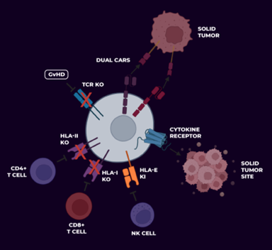 武田再度加码“被抛弃”的细胞疗法，CAR-NK或将在2029问世